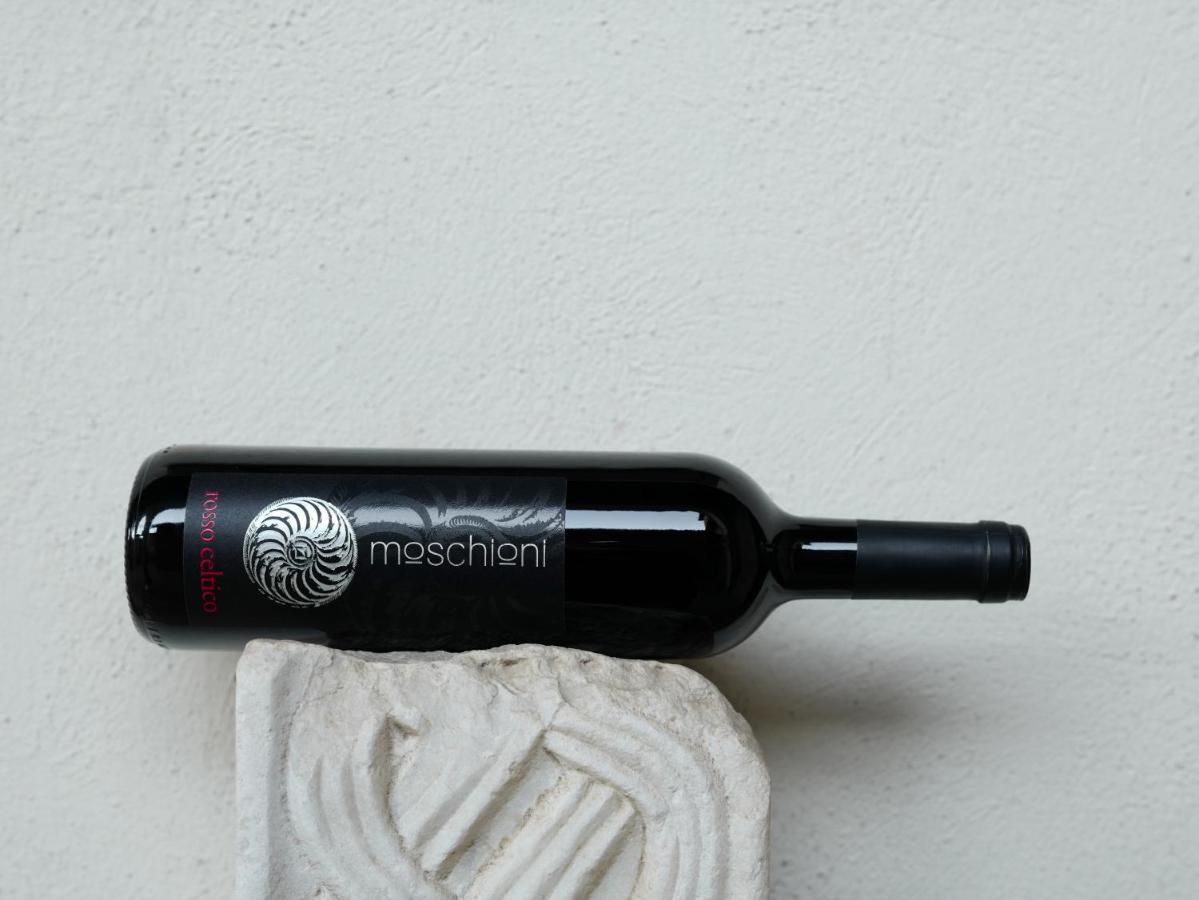 Azienda Agricola Moschioni Cividale Del Friuli Ngoại thất bức ảnh